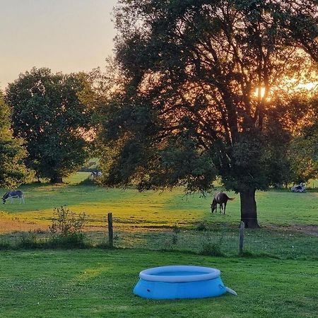 Vila Sous Le Chene Denée Exteriér fotografie